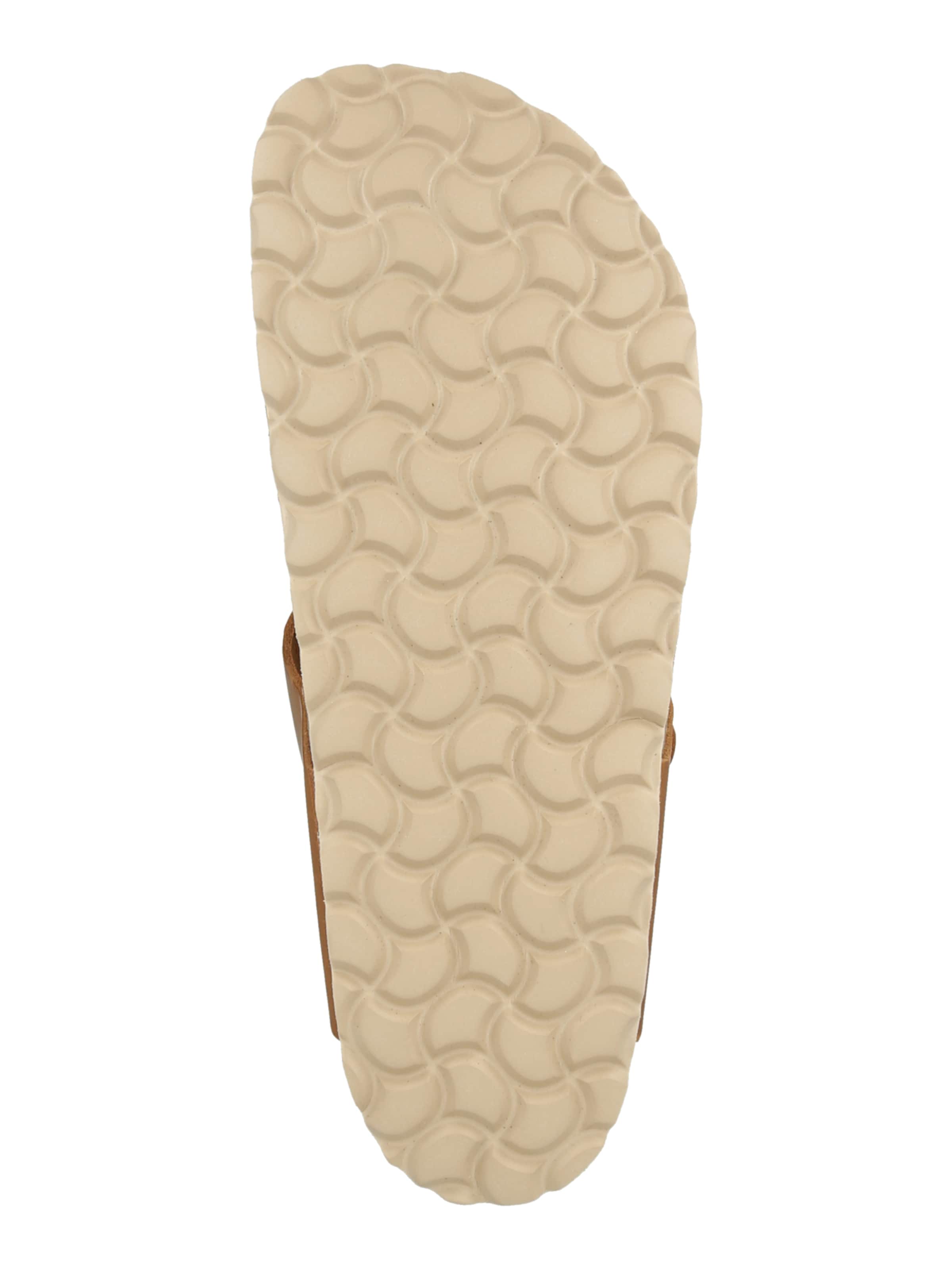 SALAMANDER Klipklappere i brun