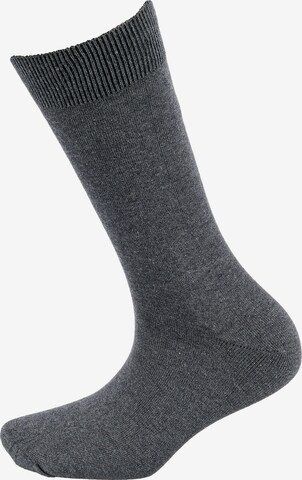 camano Socks in Grey