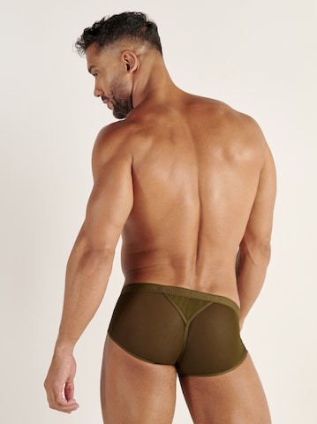 WOH Minislip ' Personal Allure ' in Grün