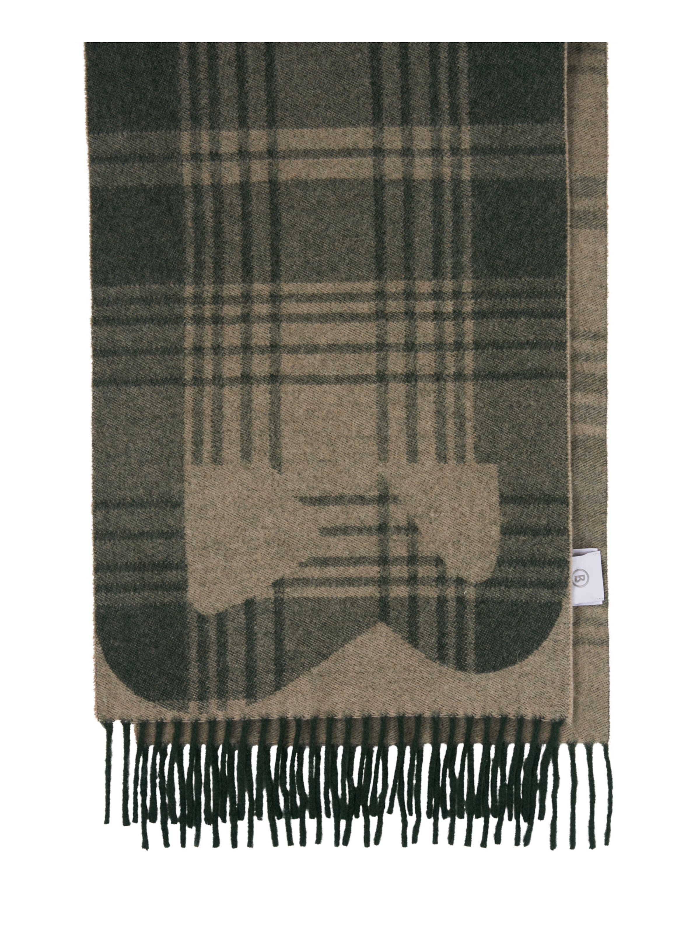 BOGNER Schal in Grün: Vorderseite