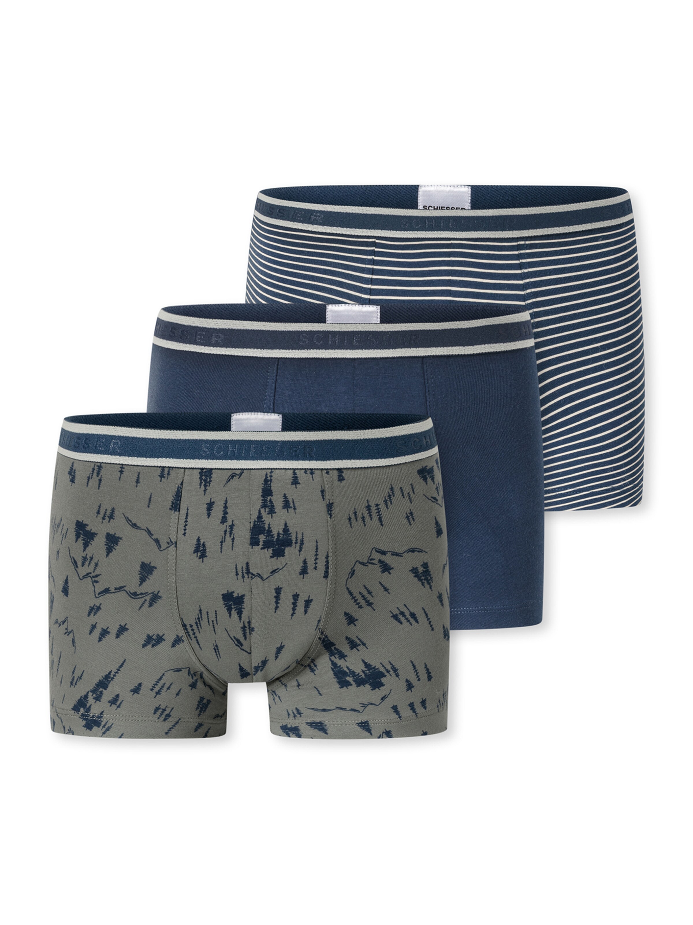 Sous-vêtements ' 95/5 Multi ' SCHIESSER en bleu : devant