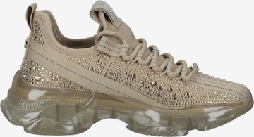 STEVE MADDEN Sneaker 'MAXILLA-R' in Beige