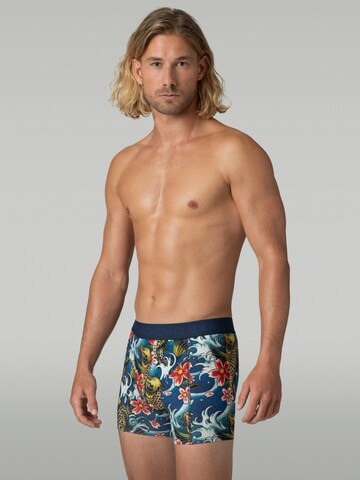 MUCHACHOMALO Boxer shorts 'Muchachomalo Cotton Boxershorts' in Blue