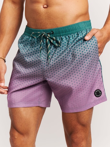 PROTEST Badeshorts 'PRTNorthaw'‌ in Grün