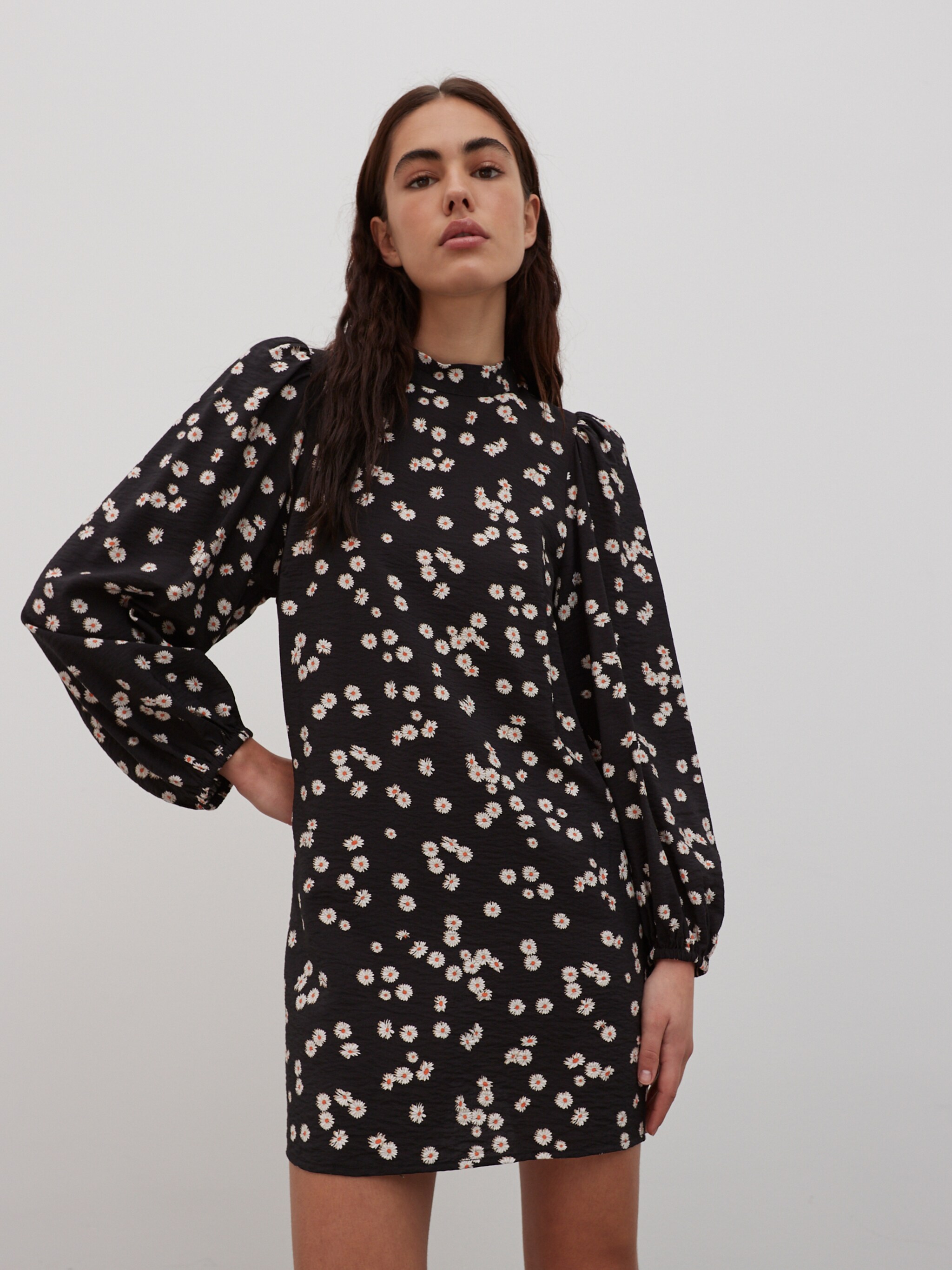 EDITED Produkte Kleid 'Cairo' orange