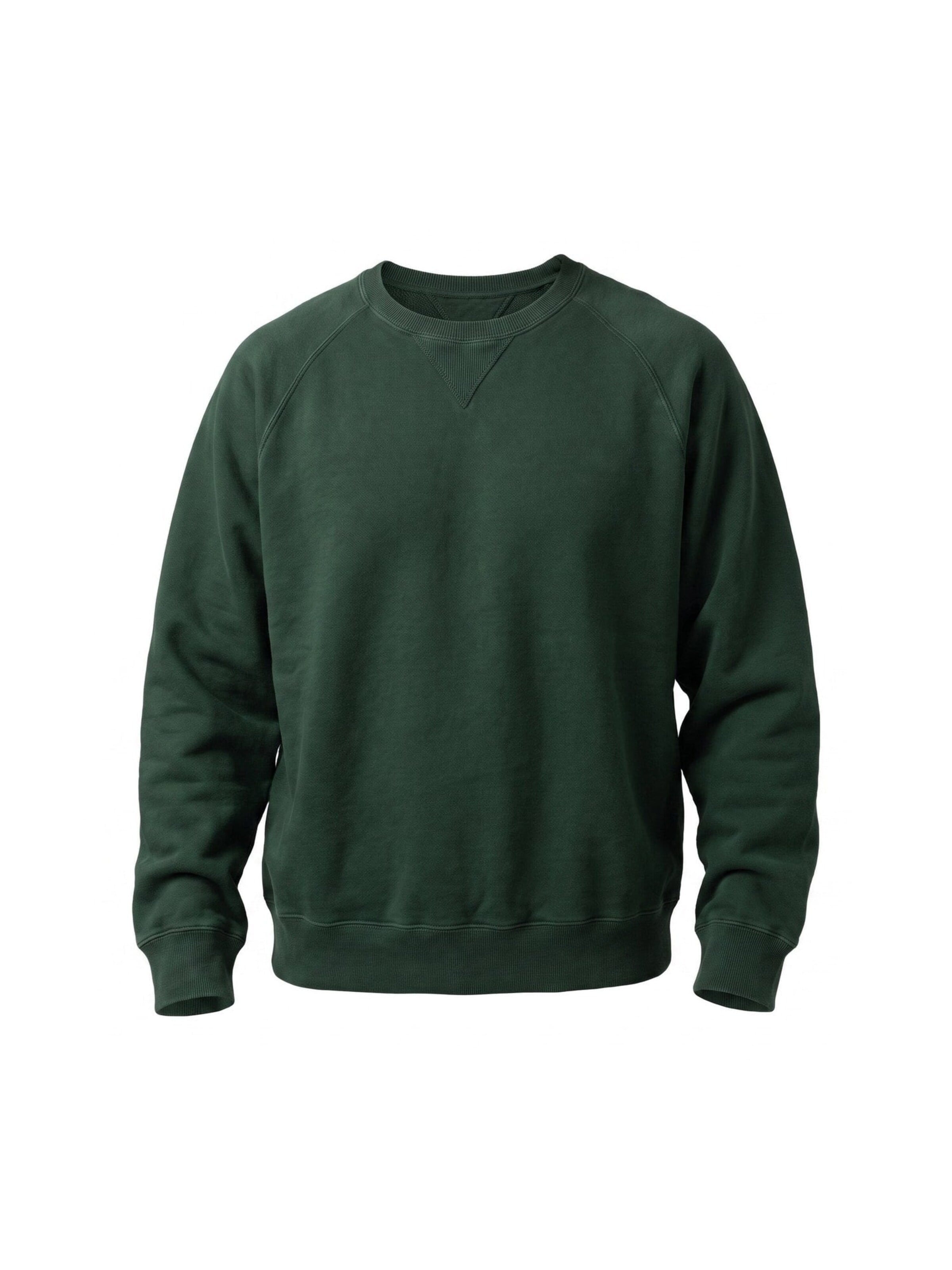 Fortela Sweatshirt 'HARVARD CREWNECK SWEATSHIRT IN BRUSHED JERSEY RAGLAN CUT BOTTLE' in Green: front