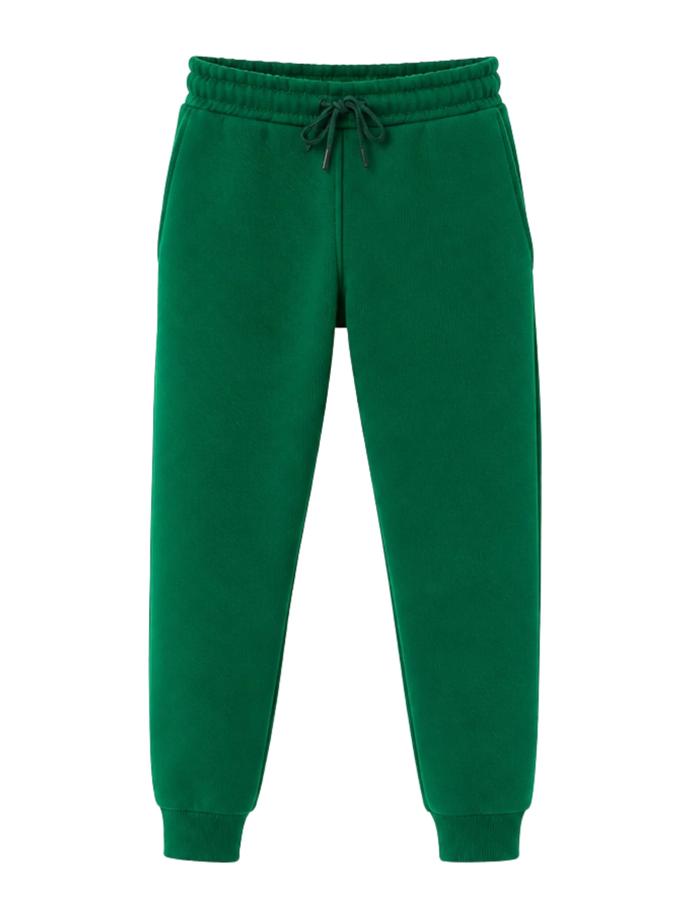 LOUIS LECLER Slimfit Hose 'Sasha'‌‌‌‌‌‌‌‌‌ in Grün: Vorderseite