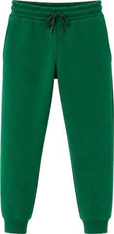LOUIS LECLER Slimfit Hose 'Sasha' in Grün: Vorderseite