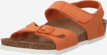 Chaussures ouvertes 'Colorado Papaya' BIRKENSTOCK en orange : devant