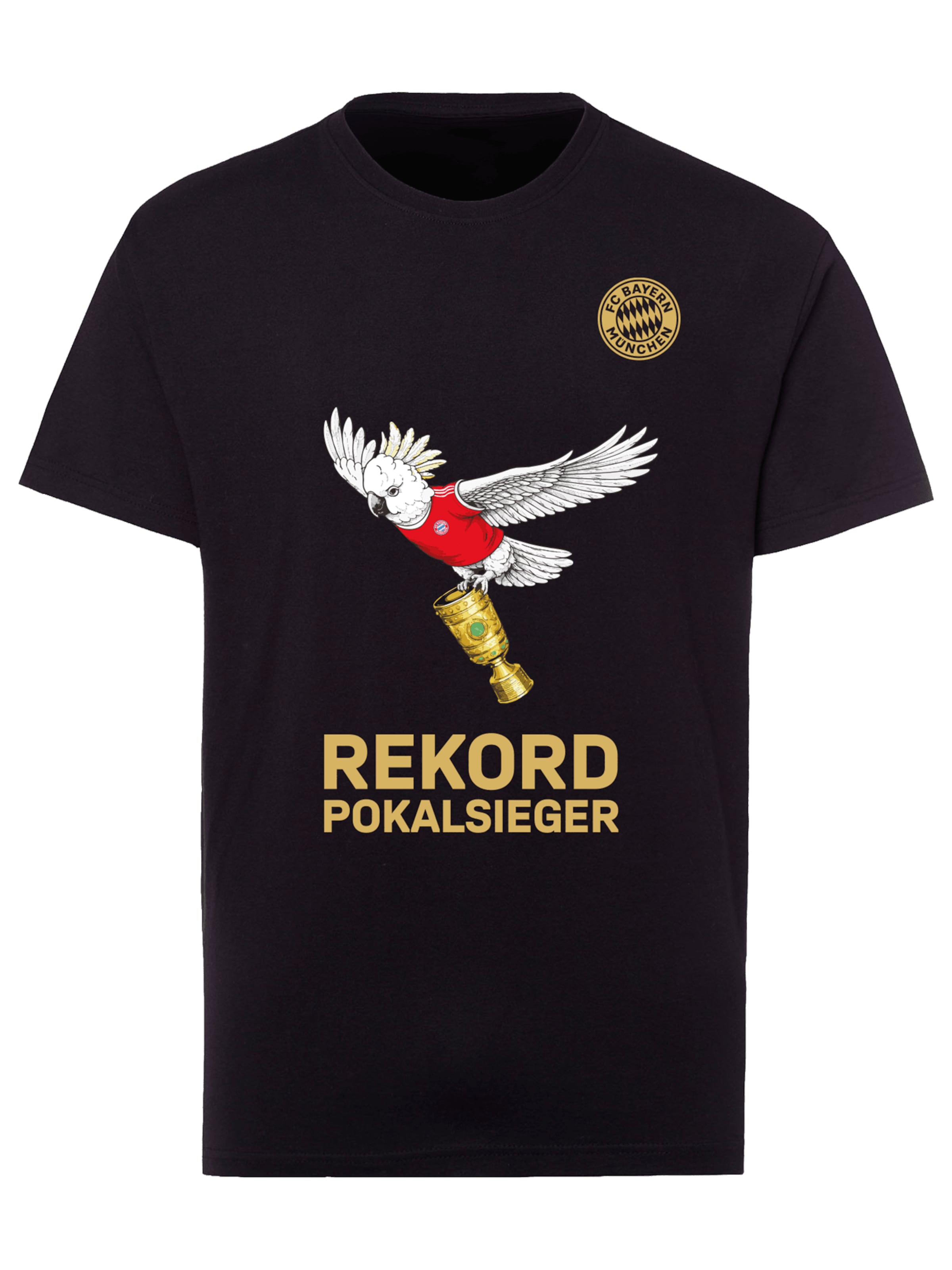 ADIDAS PERFORMANCE FC Bayern T-Shirt DFB-Pokalsieger 2026 in Schwarz: Vorderseite