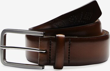 Digel Belt in Brown: front