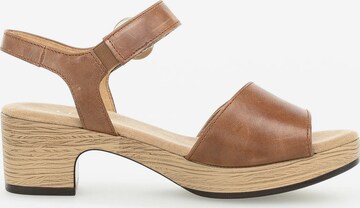 GABOR Sandals in Brown