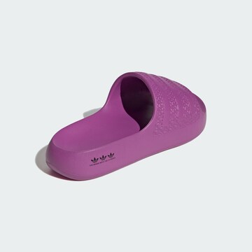 purpurinė ADIDAS ORIGINALS Šlepetės 'Adilette Ayoon'