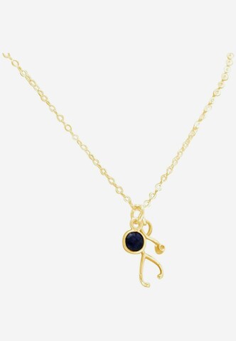 Gemshine Necklace in Gold