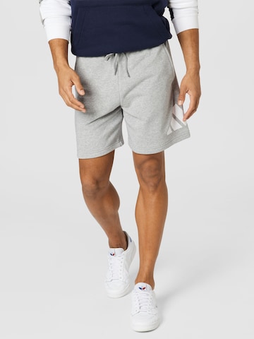 ADIDAS PERFORMANCE Спортен панталон в сиво: отпред