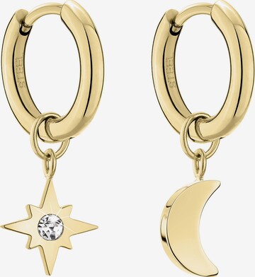 TAMARIS Earrings in Gold: front