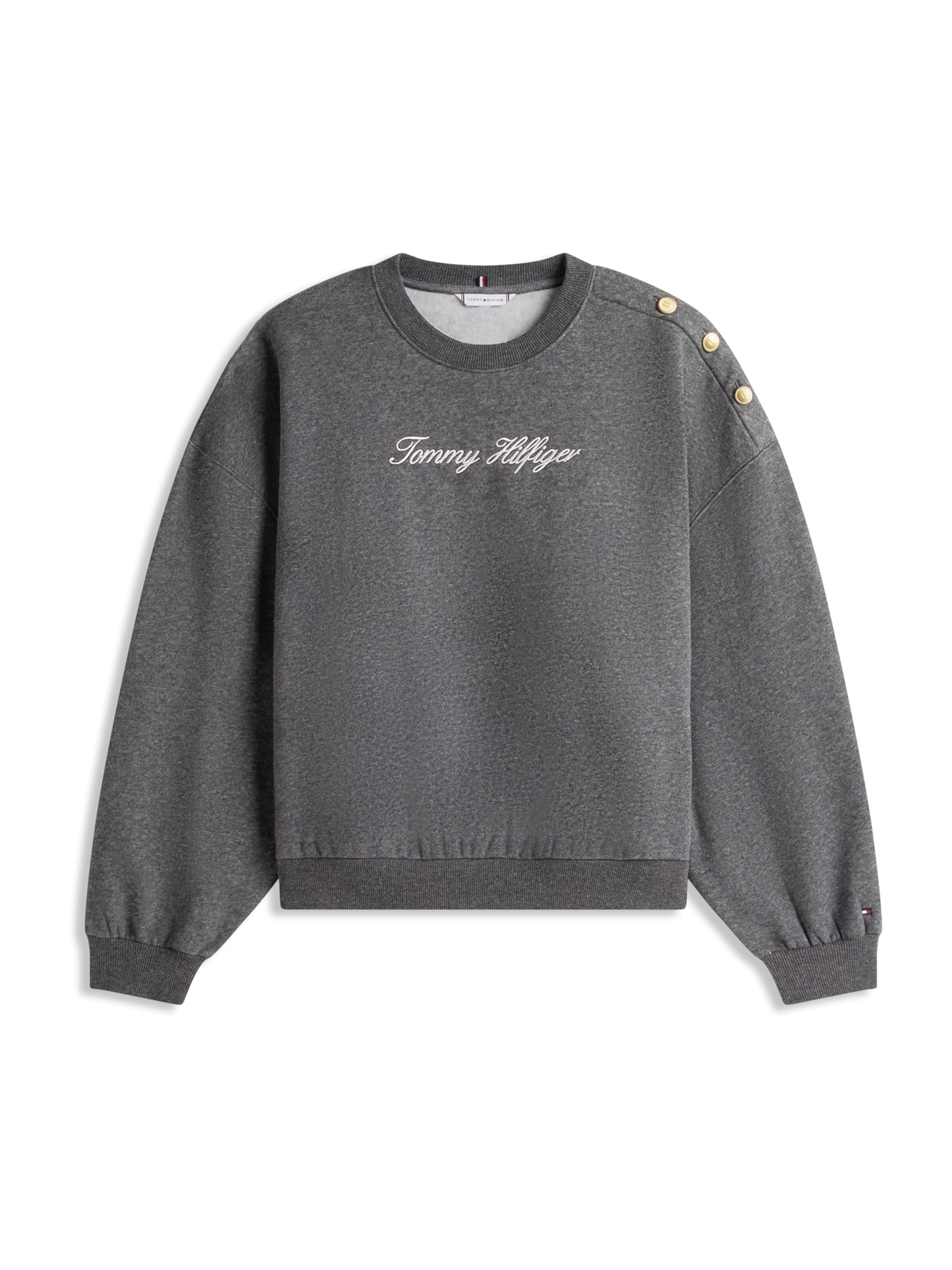 Tommy Hilfiger Curve Sweatshirt in Grey: front