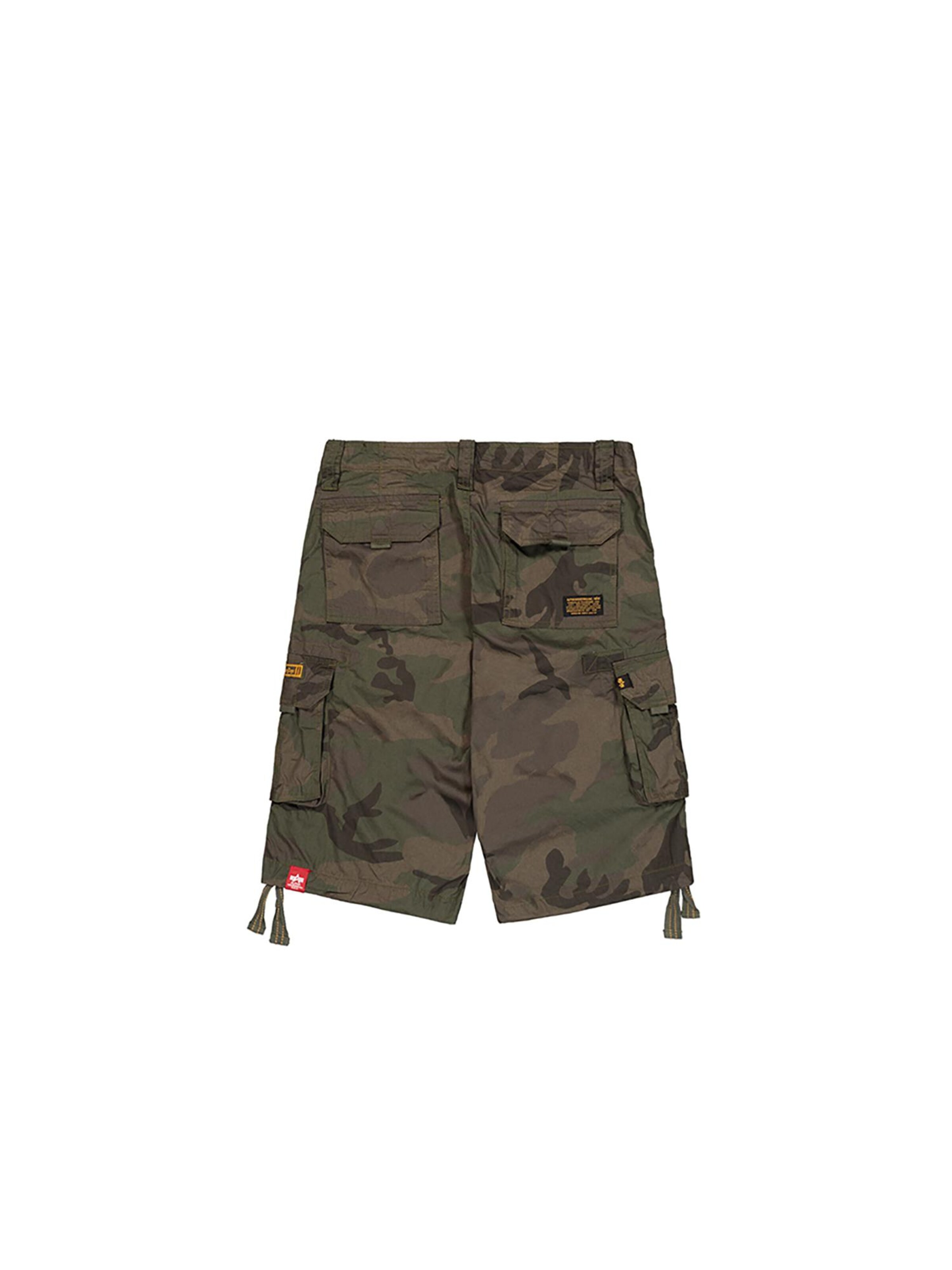 žalia ALPHA INDUSTRIES Standartinis Laisvo stiliaus kelnės 'Jet'