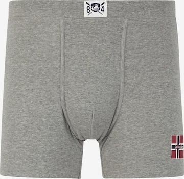 Jan Vanderstorm Boxer shorts ' Jorv ' in Grey