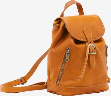 Viola Castellani Backpack in Yellow: front