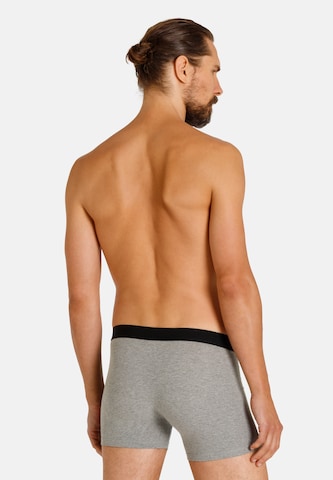 camano Boxer shorts in Grey