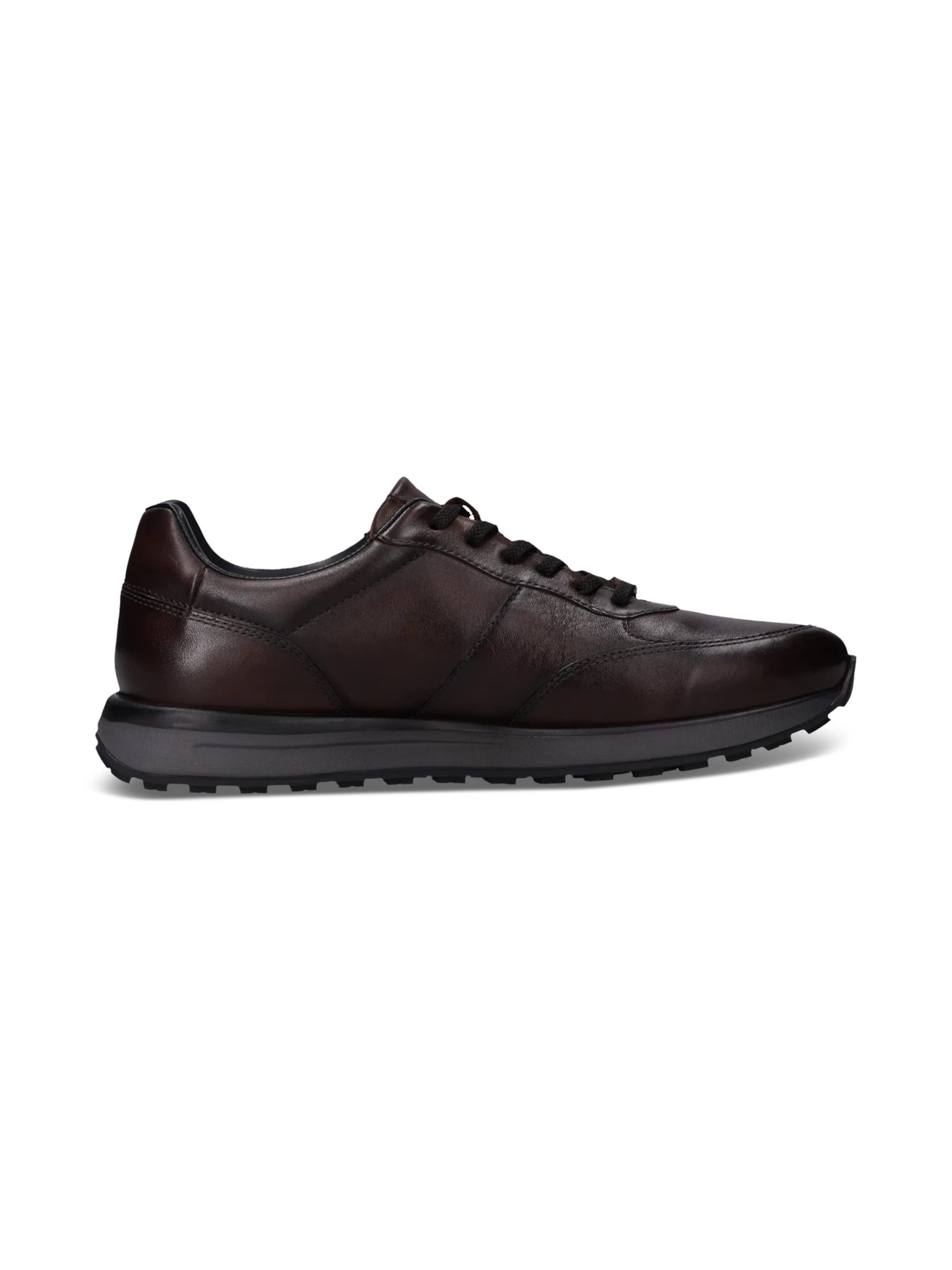 SALAMANDER - Zapatillas deportivas bajas en marrón