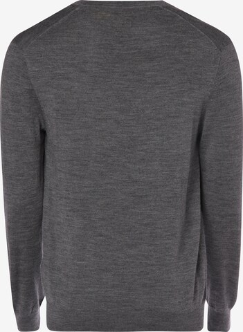 Polo Ralph Lauren Pullover in Grau