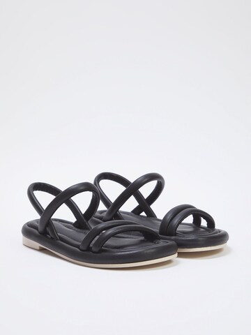 Trendyol Sandals in Black