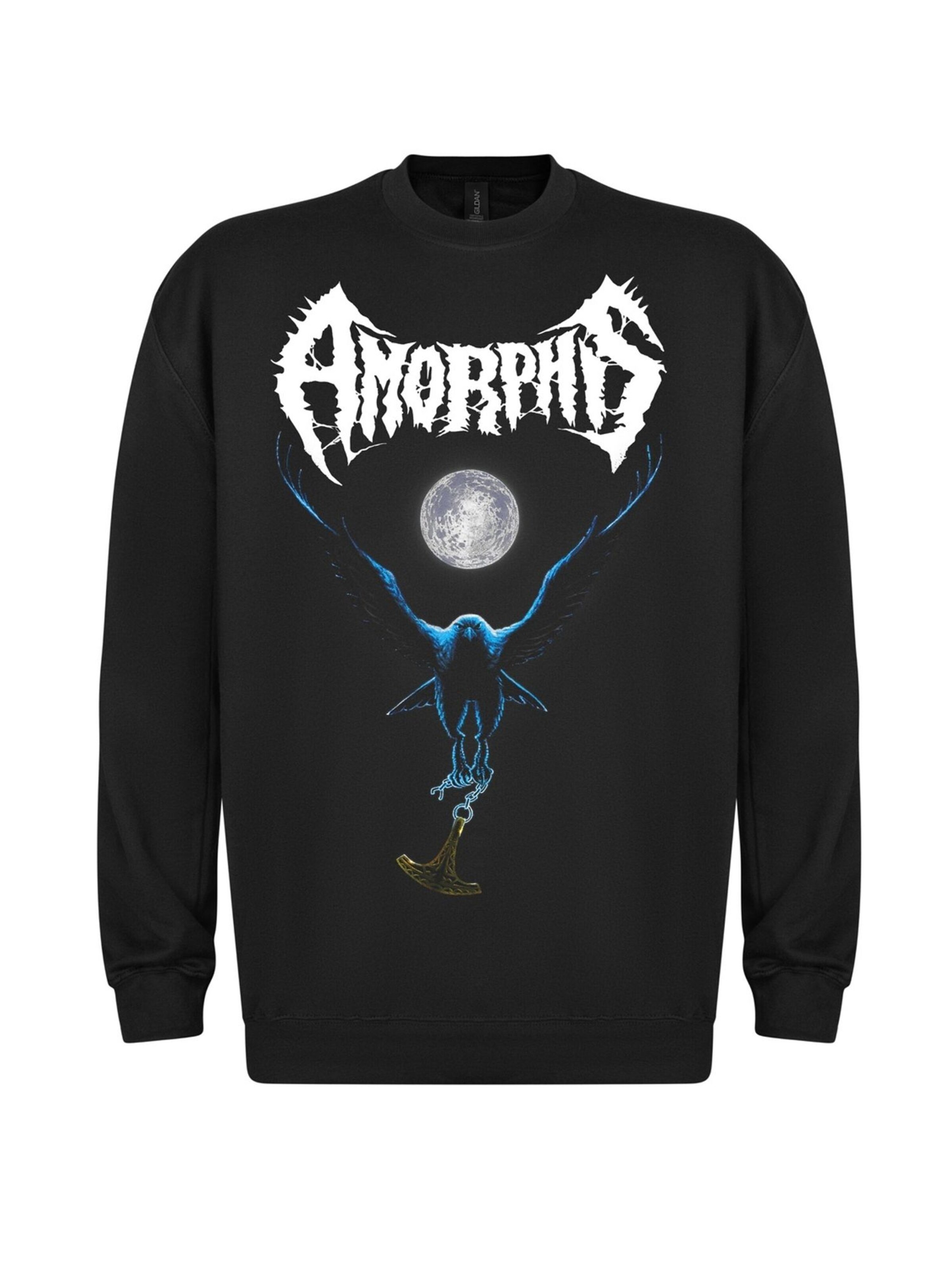 Amorphis - Sudadera 'Amorphis Black Winter Day  Sweatshirt Sweatshirt' en negro: frente