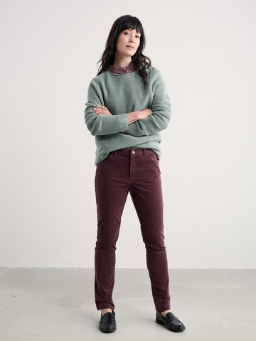 Regular Pantalon 'Lamledra' Seasalt Cornwall en marron
