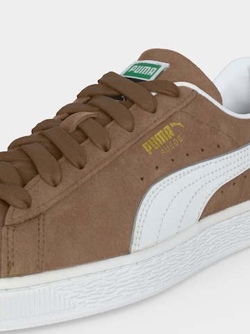 PUMA Sneaker in Braun