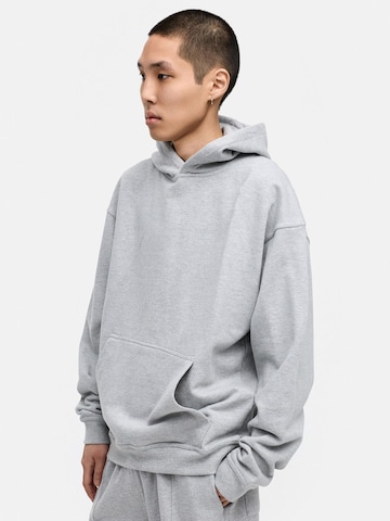 Daily Cotton Sweatshirt 'DCAUSTIN' in Grey