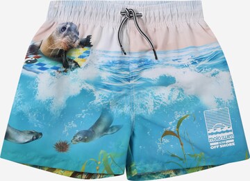 Molo Board Shorts 'Niko' in Blue: front