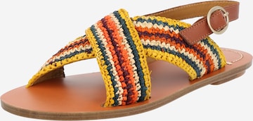 Sandalo di Vanessa Bruno in colori misti: frontale