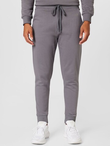Tapered Pantaloni di WESTMARK LONDON in grigio: frontale