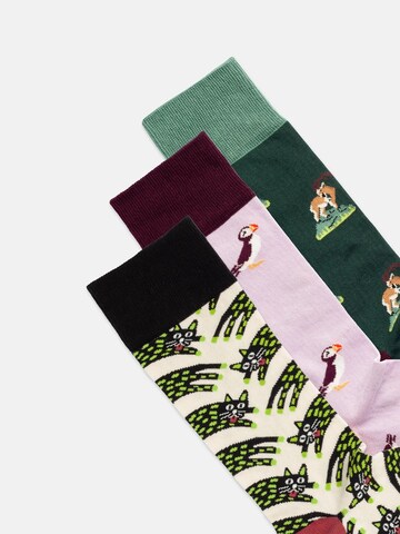 DillySocks Socken 'Cat & Puffin & Capricorn' in Mischfarben