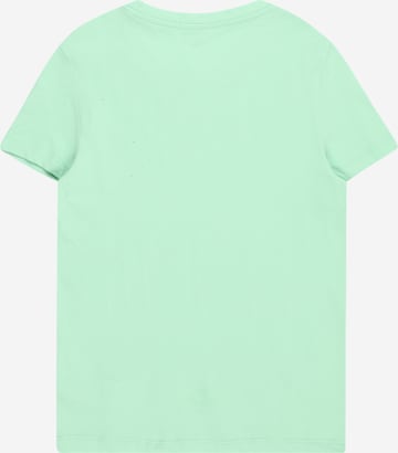 Maglietta di TOM TAILOR in verde