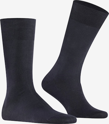 FALKE Socks in Blue