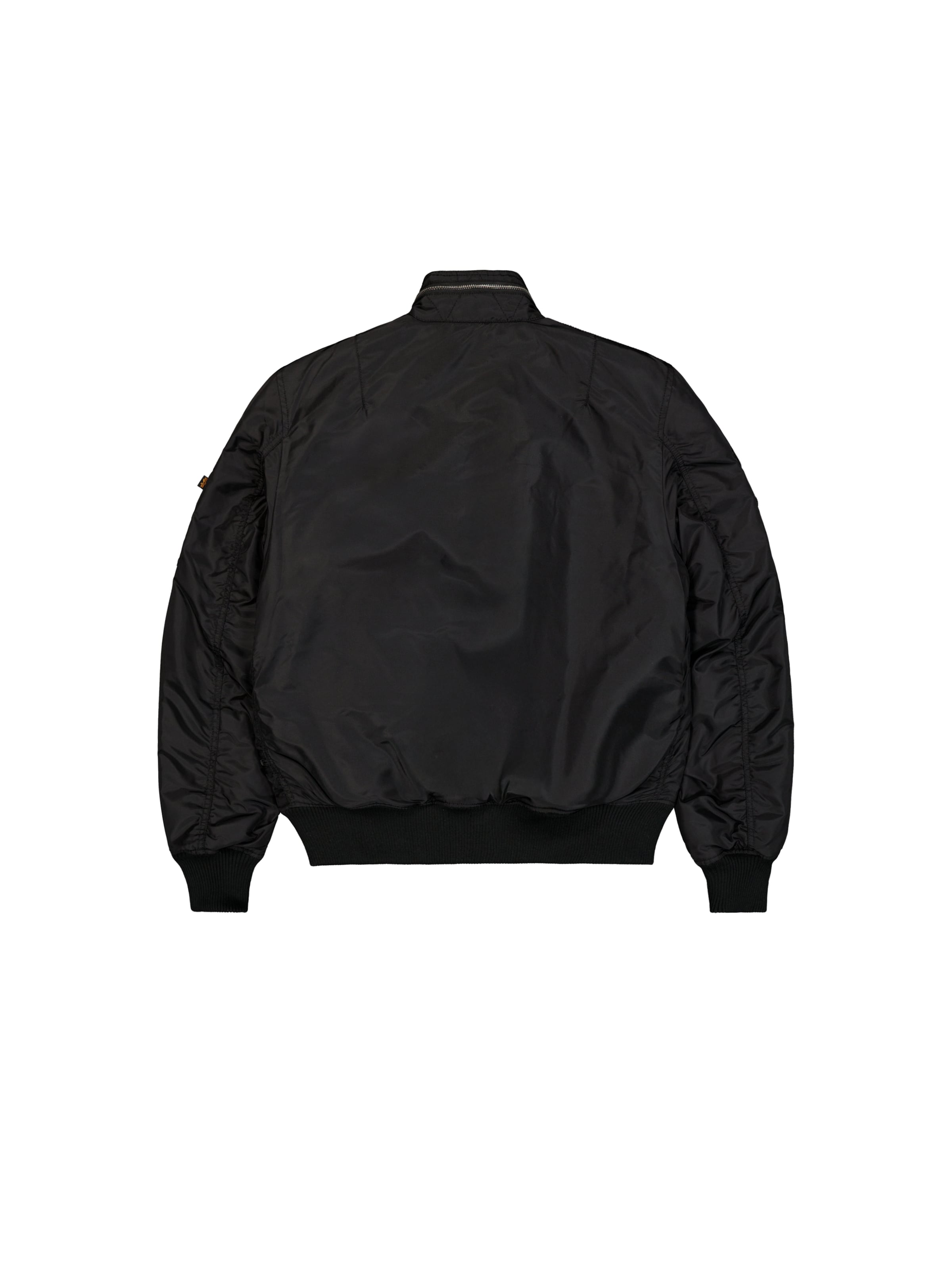 ALPHA INDUSTRIES Between-Season Jacket 'Engine' in Black: back