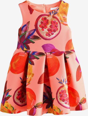 Next Kleid in Orange: Vorderseite