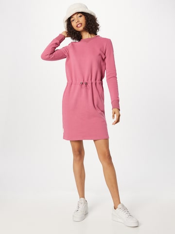 Ragwear Dress 'LANNA' in Pink