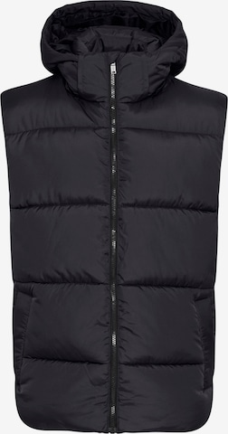 BLEND Vest 'BHMZIPA' in Black: front