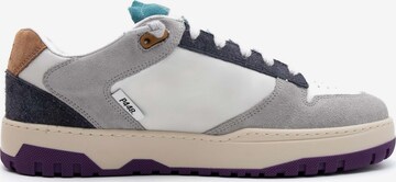 P448 Sneaker 'Mason' in Mischfarben