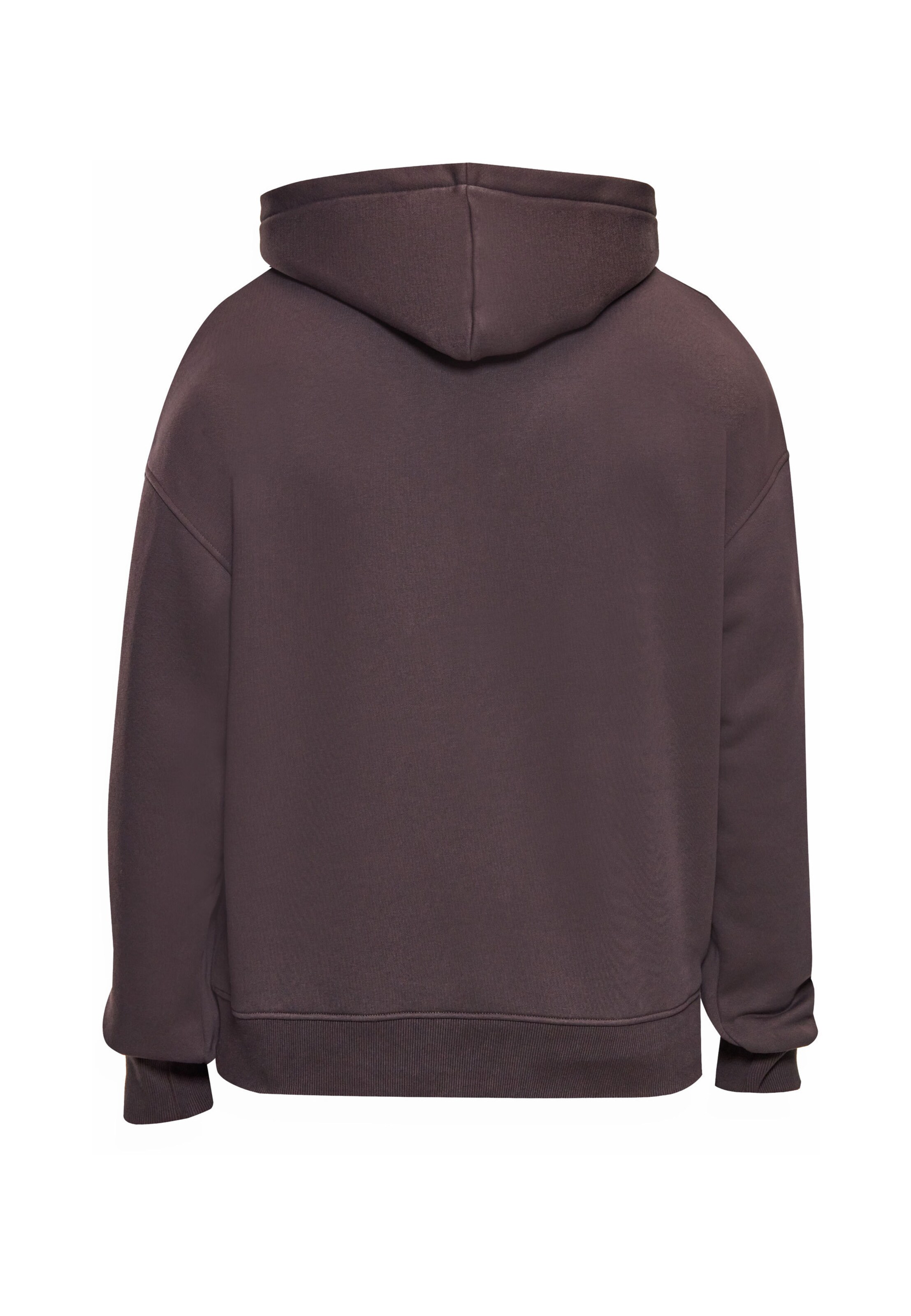 Dropsize Bluzka sportowa w kolorze brązowy