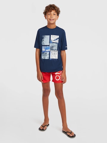 O'NEILL Shirts i blå