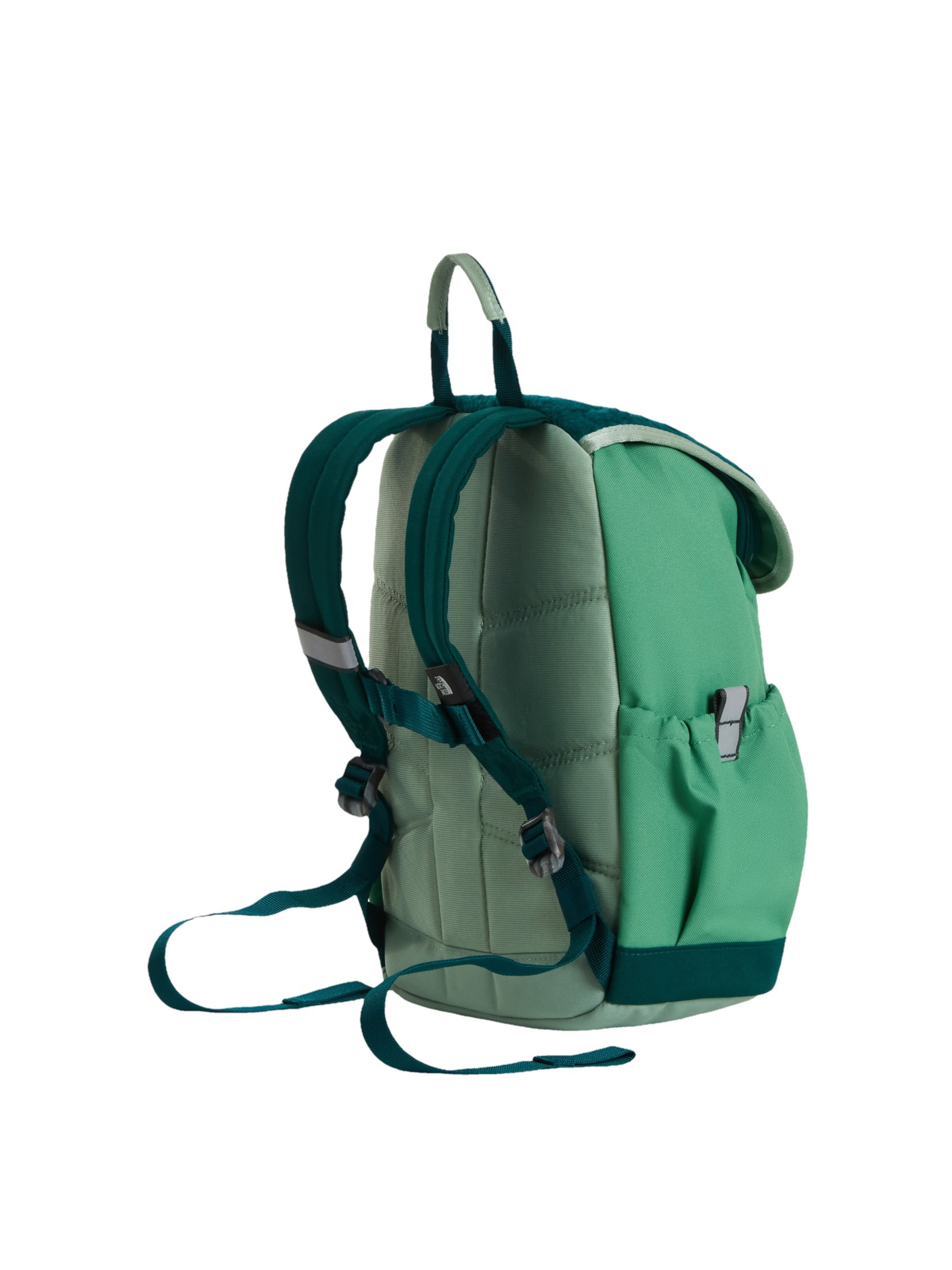 THE NORTH FACE Rucksack 'Explorer' in Grün