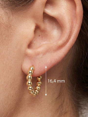 Jobo Earrings in Gold