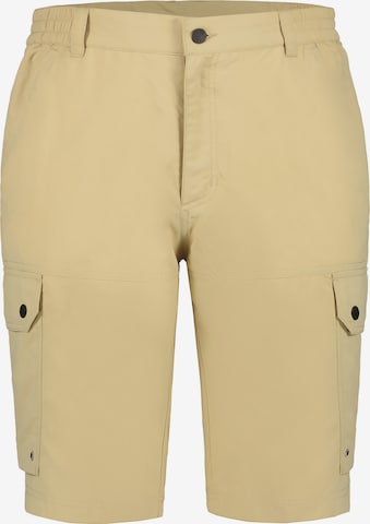 ICEPEAK Outdoor Pants 'Anzio' in Beige: front