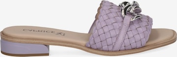 CAPRICE Pantolette in Pink