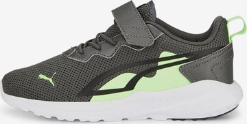 PUMA Sneaker 'All Day Active' in Grün